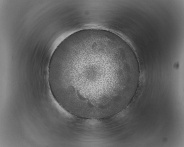 X0000111621239200907311155