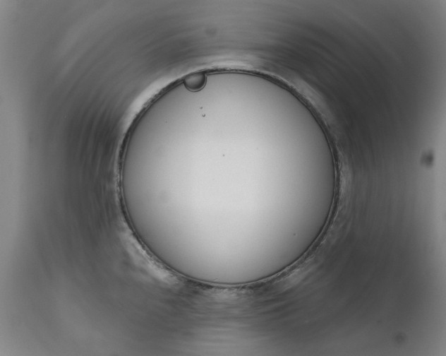 X0000111621240200907311155