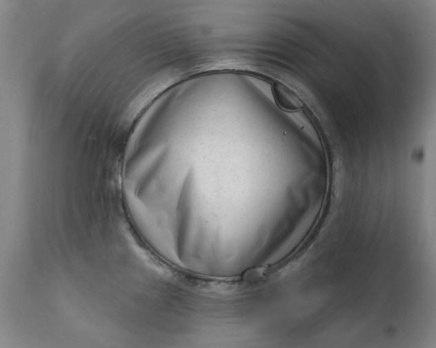 X0000111621241200907311155