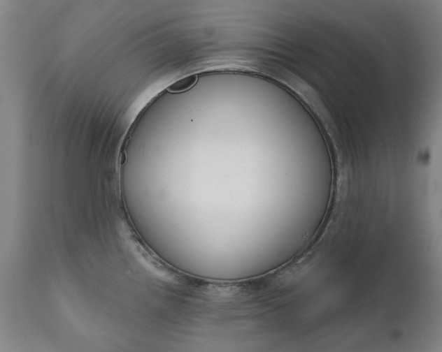 X0000111621242200907311155