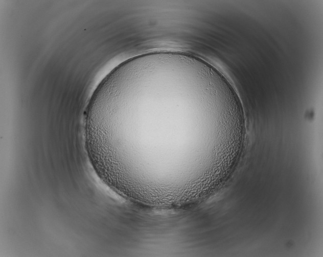 X0000111621243200907311155