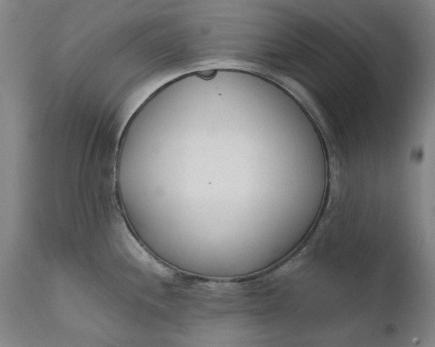 X0000111621244200907311155