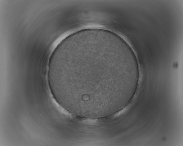X0000111621245200907311155