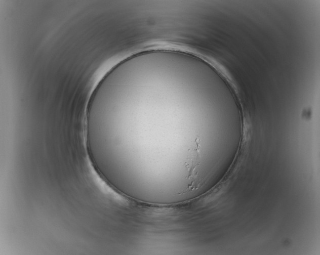 X0000111621247200907311155