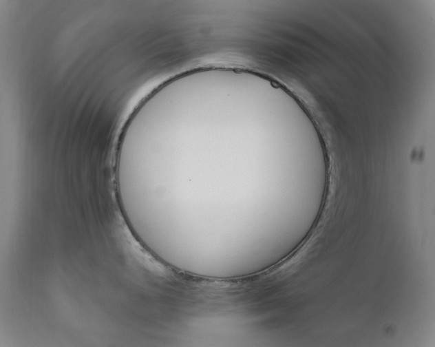 X0000111621248200907311155