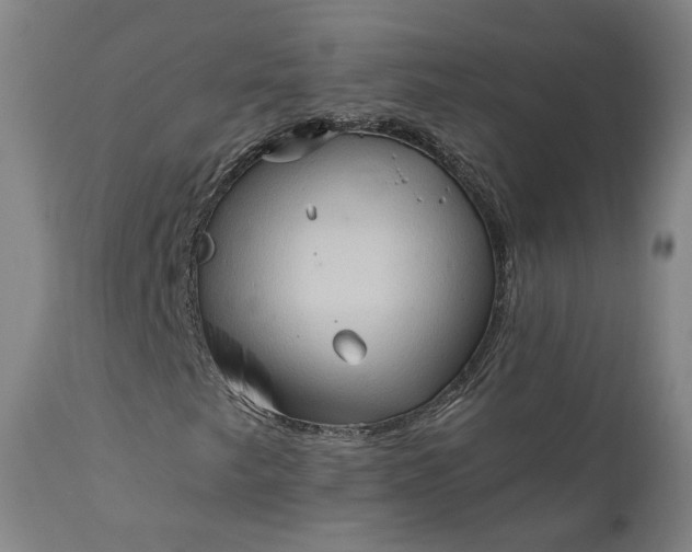 X0000111621249200907311155