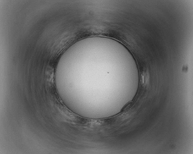 X0000111621251200907311154
