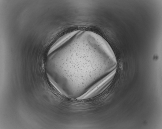 X0000111621252200907311154