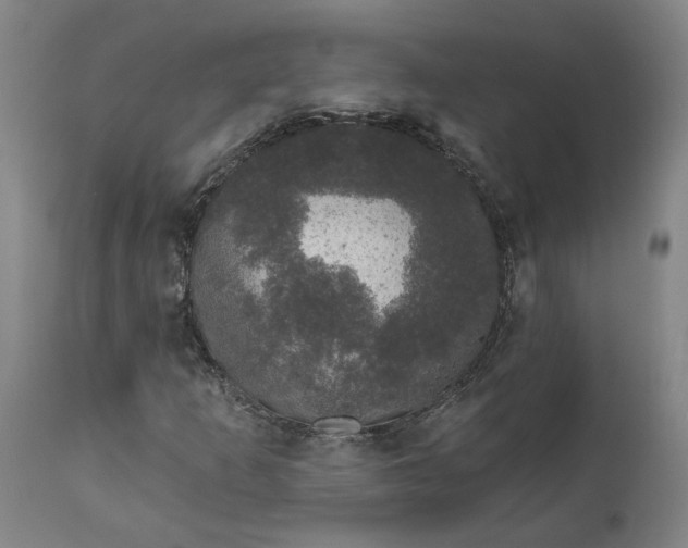 X0000111621253200907311154