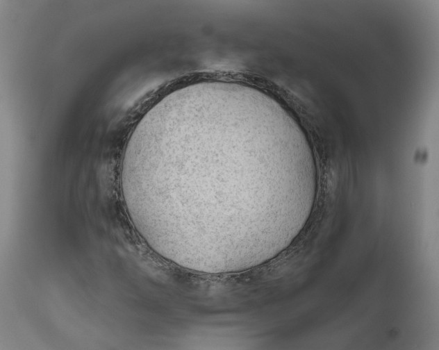 X0000111621254200907311154