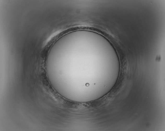 X0000111621255200907311154