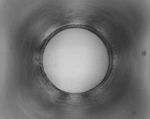 X0000111621258200907311154
