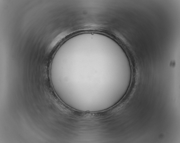 X0000111621259200907311154