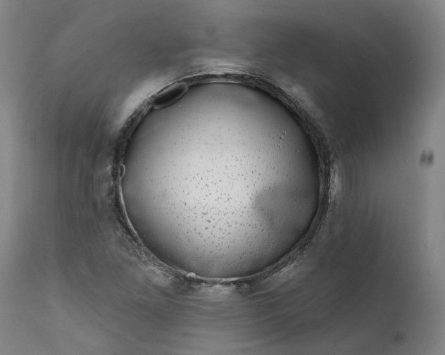 X0000111621261200907311154