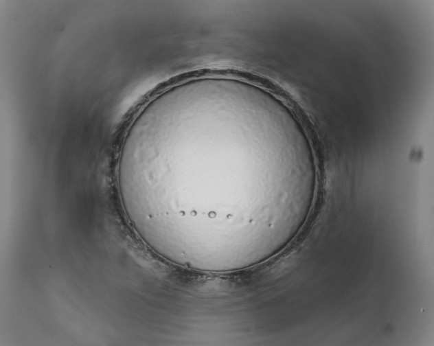 X0000111621263200907311154