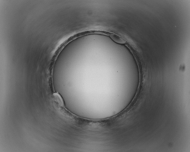 X0000111621264200907311154