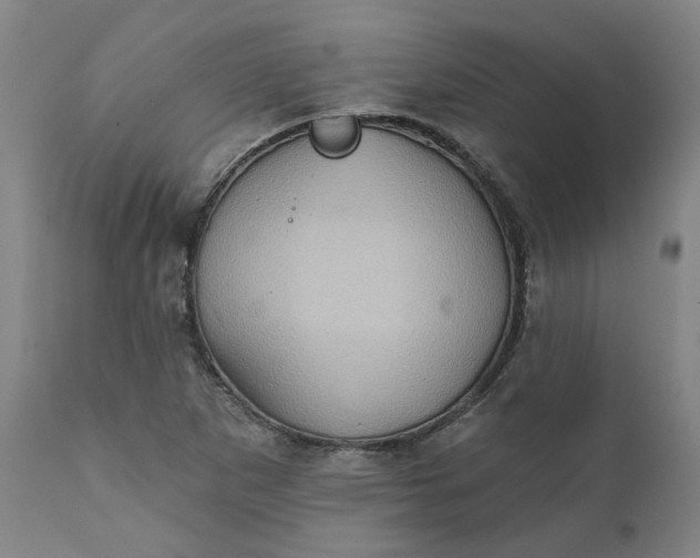 X0000111621265200907311154