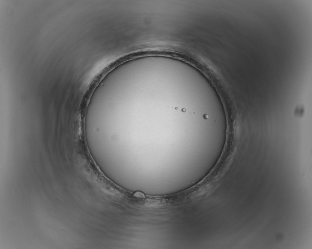 X0000111621267200907311154