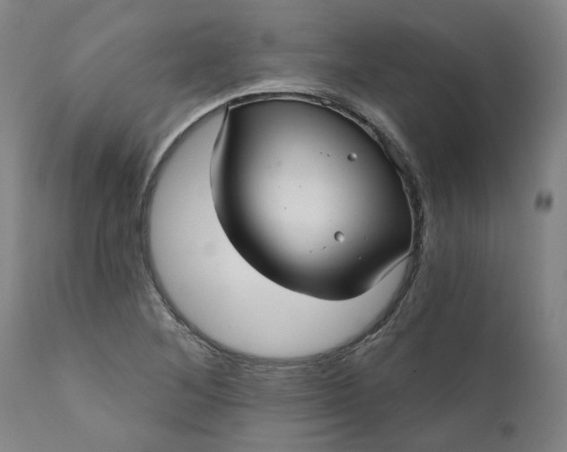 X0000111621268200907311154