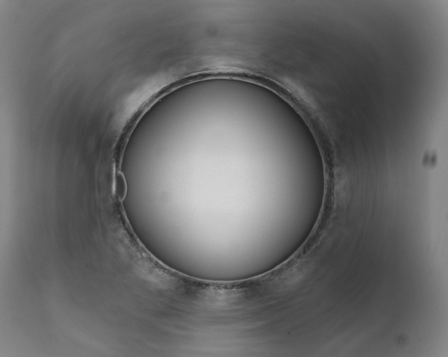 X0000111621269200907311154