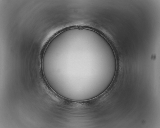 X0000111621270200907311154