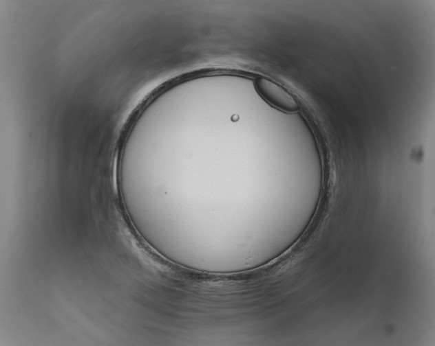 X0000111621272200907311154