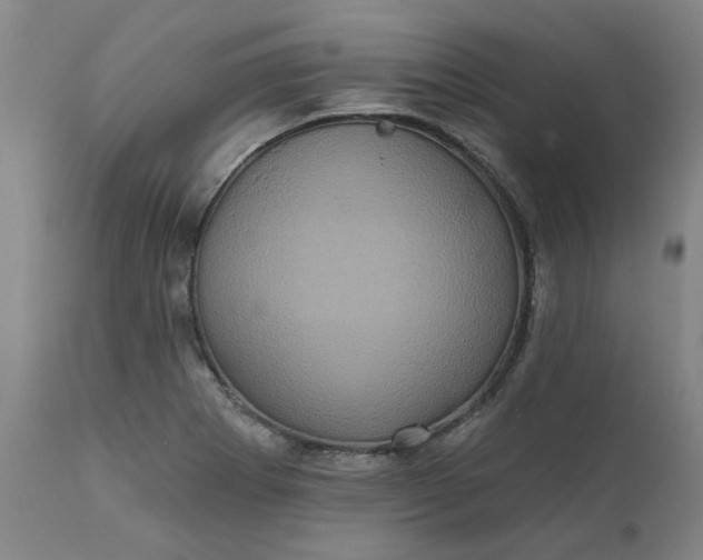 X0000111621273200907311154