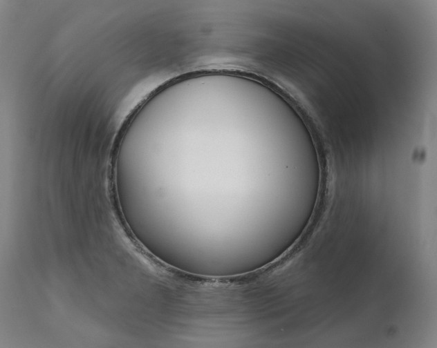 X0000111621277200907311154