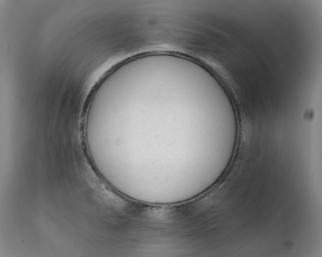 X0000111621278200907311154