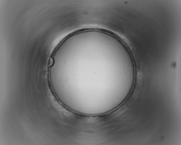 X0000111621279200907311154