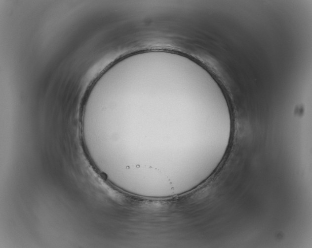 X0000111621286200907311154