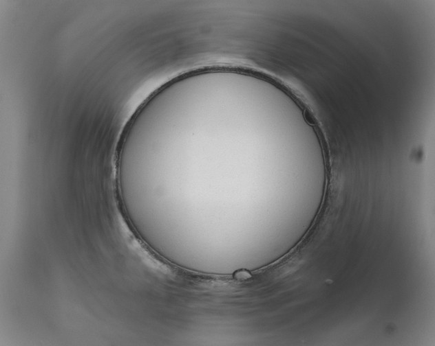 X0000111621287200907311154