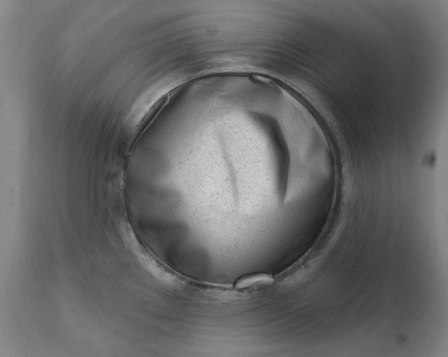X0000111621289200907311154