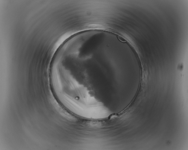 X0000111621291200907311154
