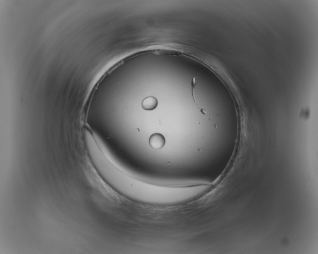 X0000111621292200907311154
