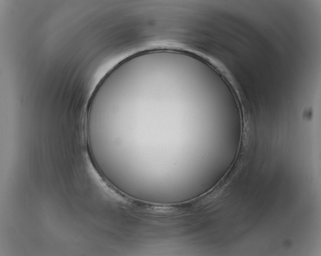 X0000111621295200907311154