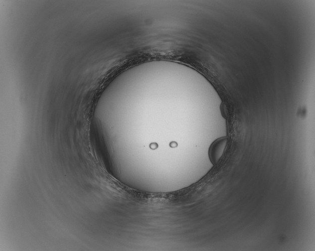X0000111621297200907311153