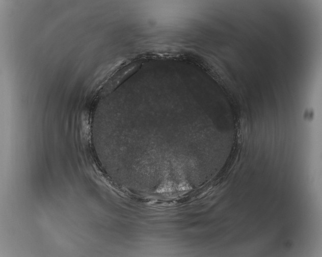 X0000111621298200907311153