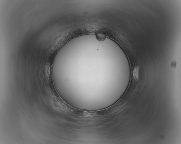 X0000111621299200907311153