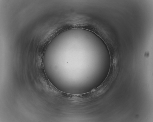 X0000111621300200907311153