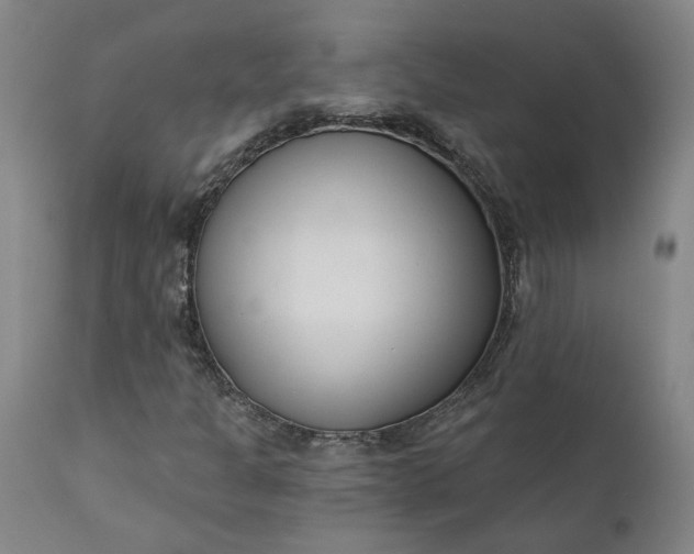 X0000111621301200907311153