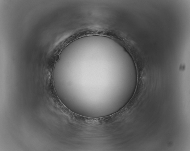 X0000111621302200907311153