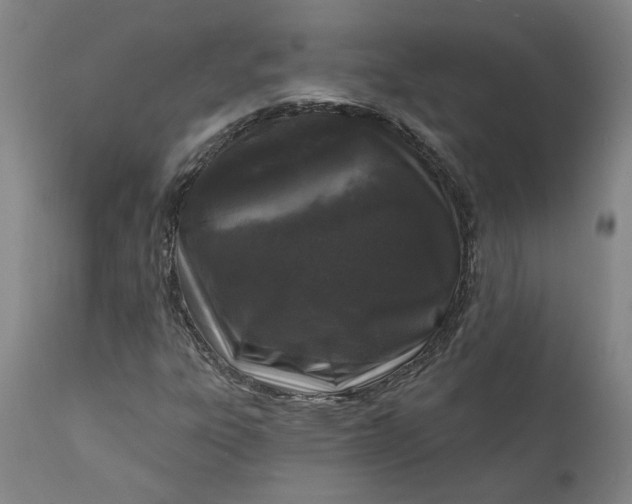 X0000111621303200907311153