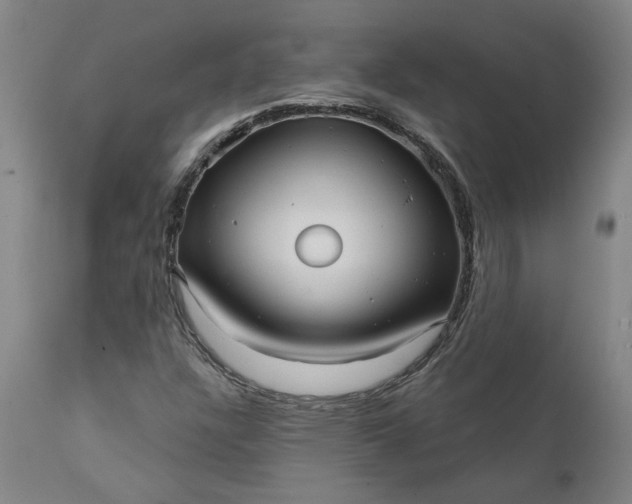 X0000111621304200907311153