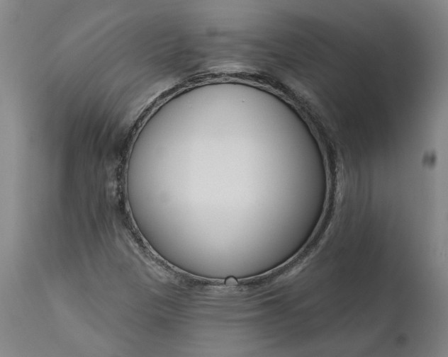 X0000111621305200907311153