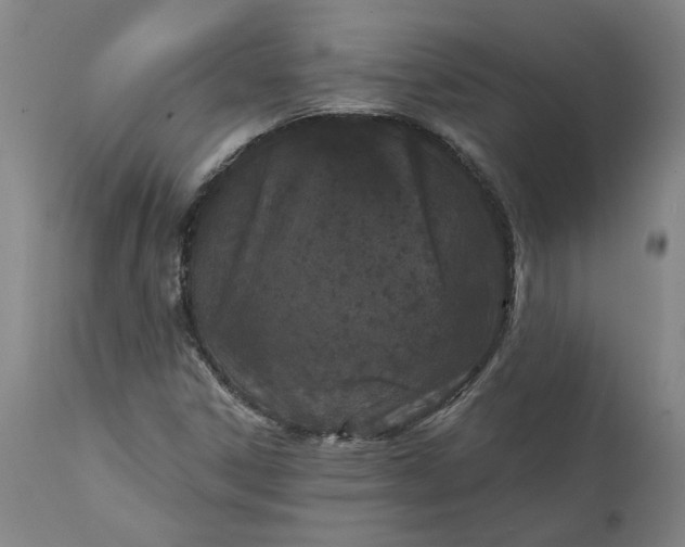 X0000111621306200907311153