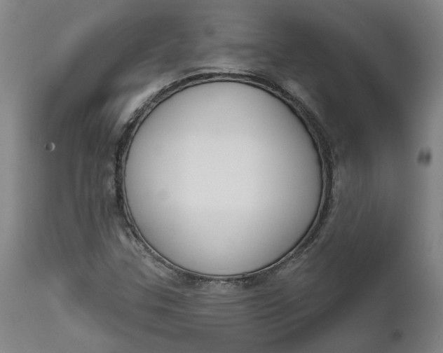 X0000111621307200907311153