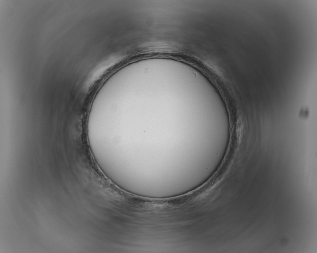 X0000111621309200907311153
