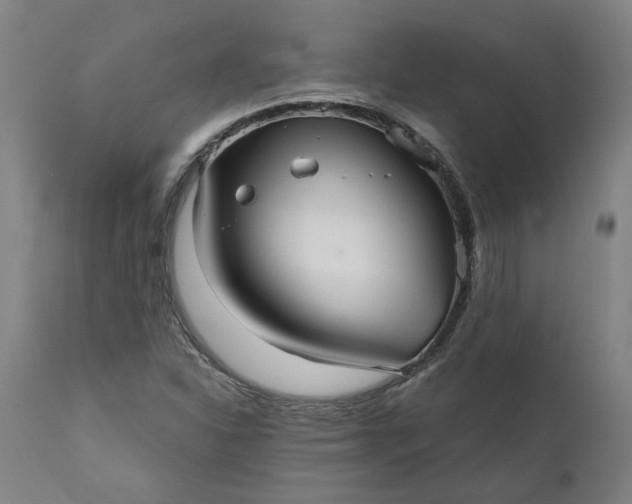 X0000111621310200907311153