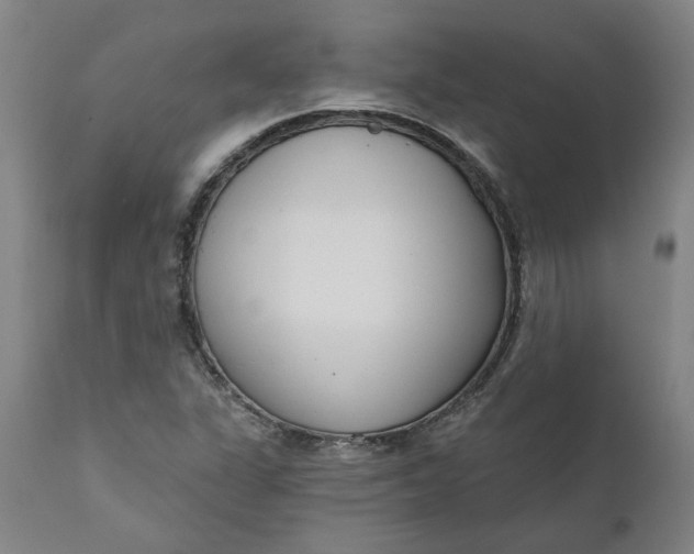 X0000111621311200907311153